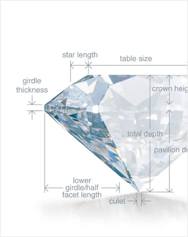 Diamond Anatomy